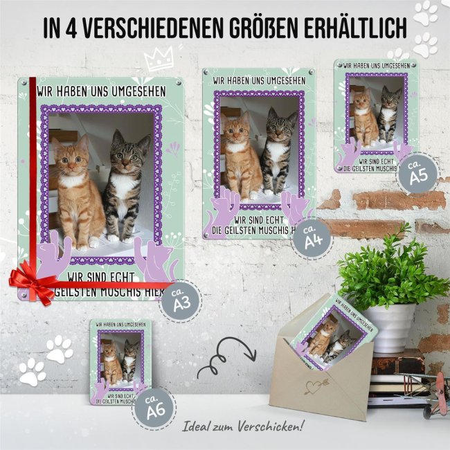 Katzenschild - Die geilsten Muschis hier- mit Foto - DIN A5