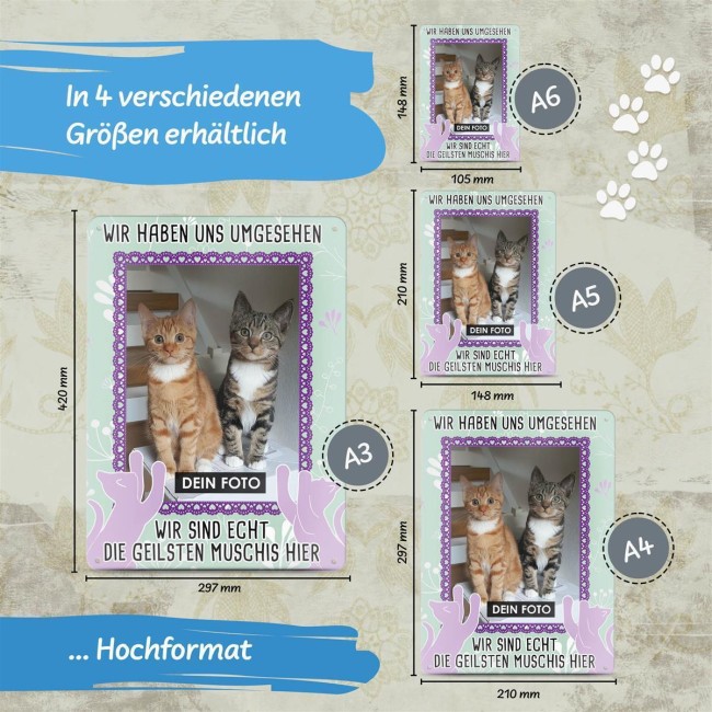 Katzenschild - Die geilsten Muschis hier - mit Foto - DIN A6