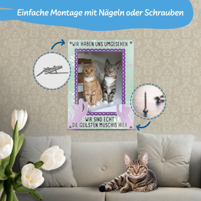 Katzenschild - Die geilsten Muschis hier - mit Foto - DIN A6