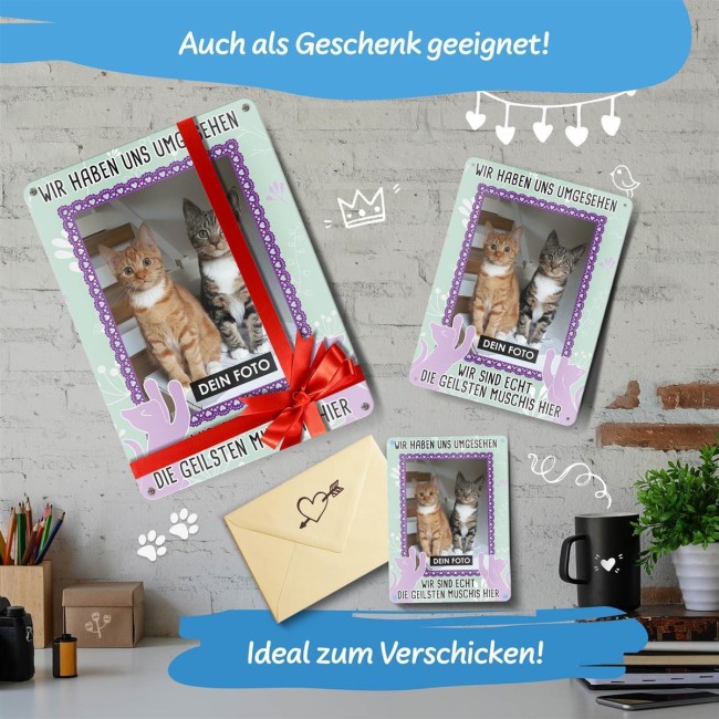 Katzenschild - Die geilsten Muschis hier - mit Foto - DIN A6