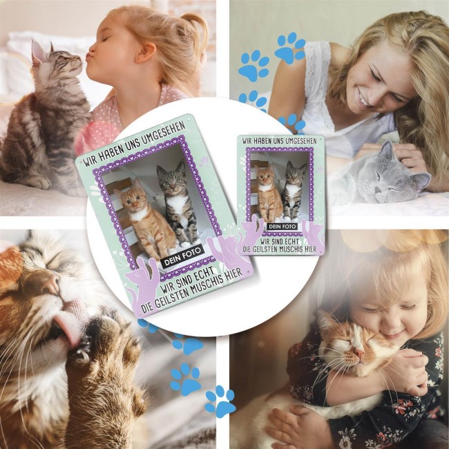 Katzenschild - Die geilsten Muschis hier - mit Foto - DIN A6