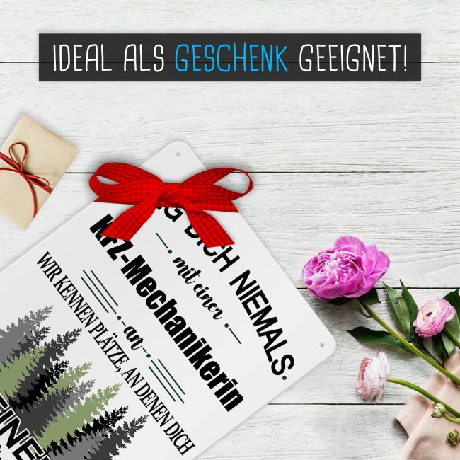 Blechschild - Leg dich niemals - KFZ-Mechanikerin - A5