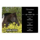Outdoorschild_Boxenschild mit Daten Pferd, Besitzer,...