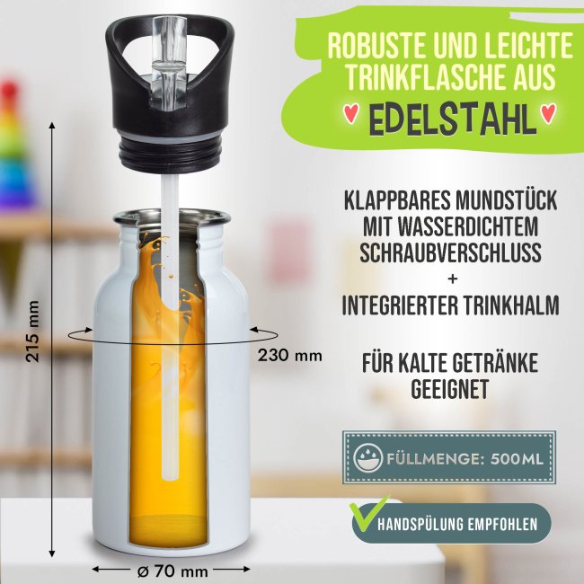 Edelstahl Trinkflasche f&uuml;r Schulkind - Koala - mit Name und Jahr personalisierbar - 500 ml