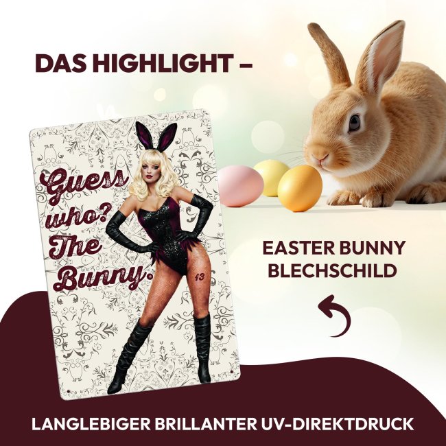 Blechschild mit Spruch - Guess who? The Bunny - Retro Muster - A4 Hochformat