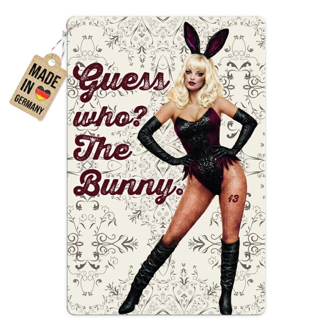 Blechschild mit Spruch - Guess who? The Bunny - Retro Muster - A4 Hochformat
